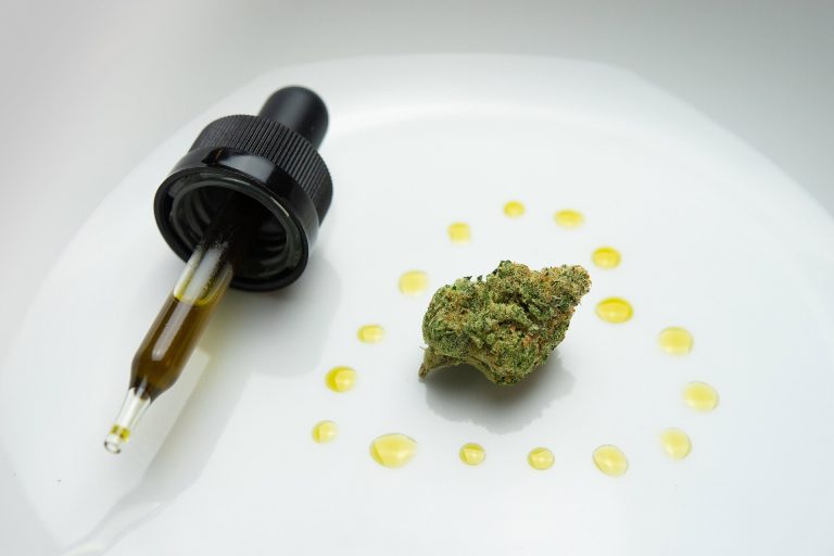 Huile de cannabis sur une assiette, illustration d'un edible riche en CBD destiné aux consommateurs adultes
